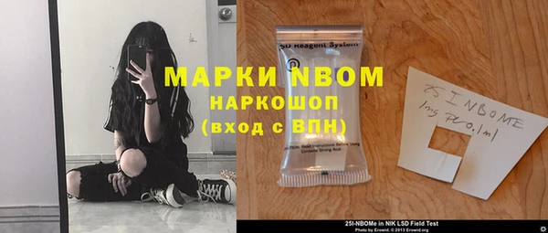 прущие грибы Армянск