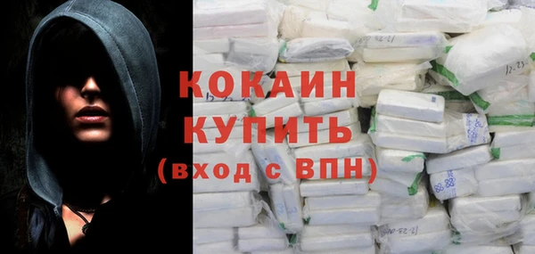 ПСИЛОЦИБИНОВЫЕ ГРИБЫ Каменка