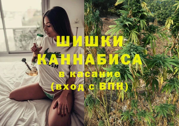 прущие грибы Армянск