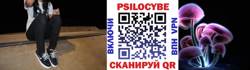 OMG как зайти  Красный Кут  Псилоцибиновые грибы ЛСД 